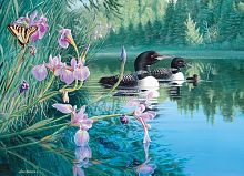 Cobble Hill Puzzle 500 pieces: Loons in the bay with irises