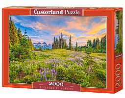 Castorland 2000 Puzzle details: Morning Flowers