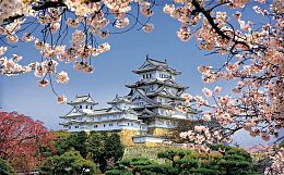 Puzzle Pintoo 1000 pieces cherry blossoms in the temple Himeji