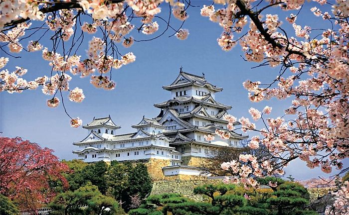 Puzzle Pintoo 1000 pieces cherry blossoms in the temple Himeji Н1436