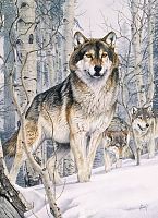 Cobble Hill puzzle 1000 pieces: Wolf eyes