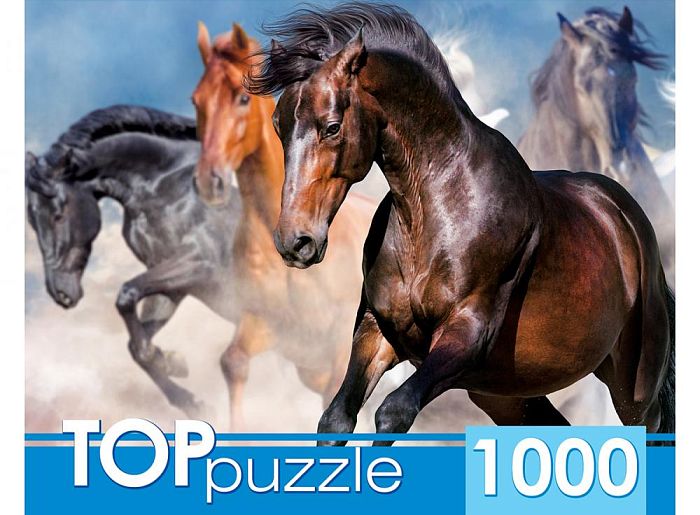 TOP Puzzle 1000 pieces: A herd of horses ГИТП1000-2147