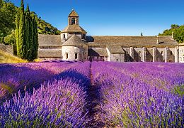 Puzzle Castorland 1000 pieces: Lavender field in Provence