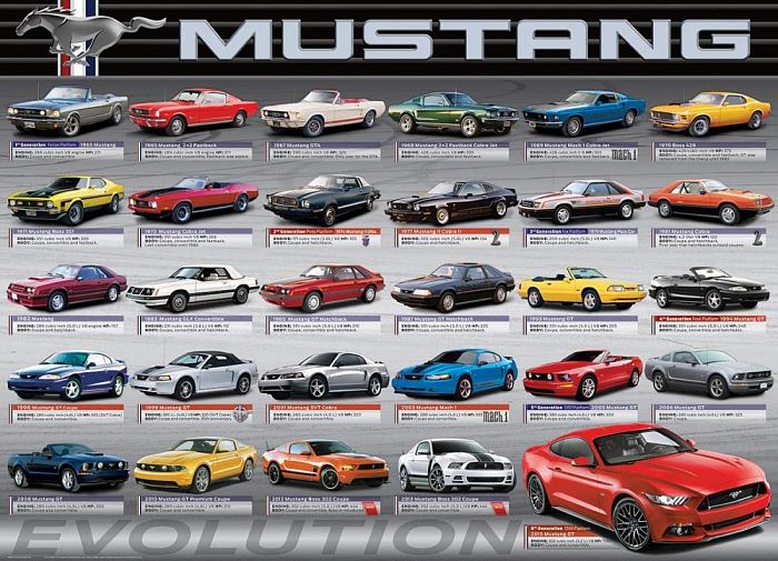 Puzzle Eurographics 1000 pieces: Evolution Ford Mustang 6000-0684