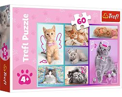 Trefl Puzzle 60 pieces: Sweet Kittens