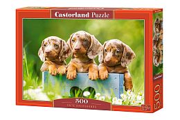 Castorland 500 Puzzle details: Cute Dachshunds