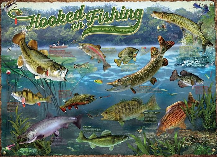 Cobble Hill 1000 pieces puzzle: For real anglers 80319