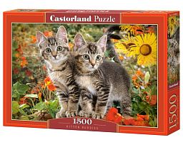 Puzzle Castorland 1500 parts: Two cats