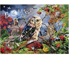 Puzzle Jumbo 1000 pieces: Owls in the moonlight