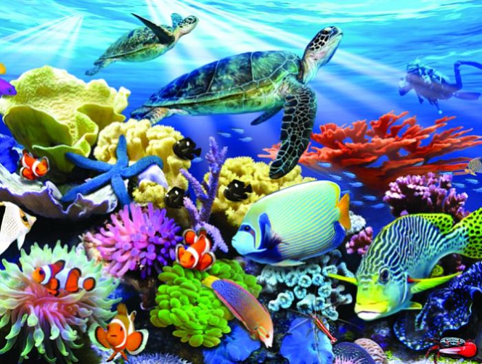 PRIME 3D puzzle 48 pieces: Life on the reef 13686