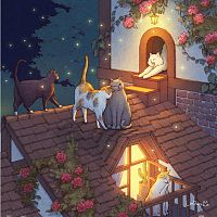 Pintoo 900-piece puzzle: Limdway. Night on the roof