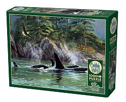 Cobble Hill Puzzle 1000 pieces: Killer Whales