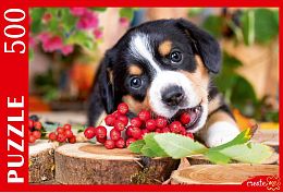 Puzzle Red Cat 500 pieces: Bernese Mountain Dog Puppy