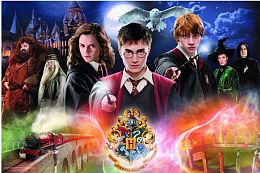 Trefl Puzzle 300 pieces: The Mysterious Harry Potter