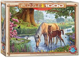 Puzzle Eurographics 1000 pieces: Pony