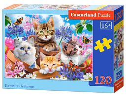 Castorland puzzle 120 details: Kittens in colors