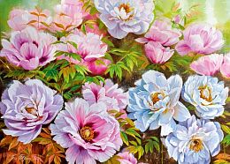 Cherry Pazzi Puzzle 1000 pieces: Peonies