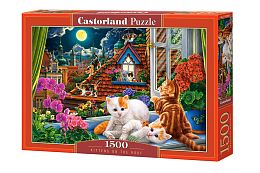 Castorland Puzzle 1500 pieces: Kittens on the roof