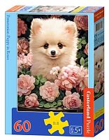 Castorland Puzzle 60 pieces: Pomeranian puppy in roses