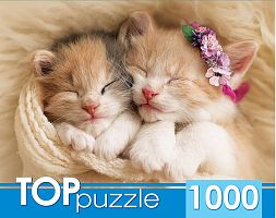 TOP Puzzle 1000 Pieces: Two sleeping Kittens