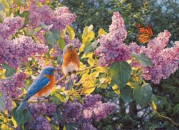Cobble Hill 500 Pieces Puzzle: Birds in Lilac