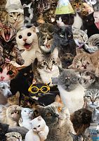 Frey's 500-piece Puzzle: Feline Mayhem