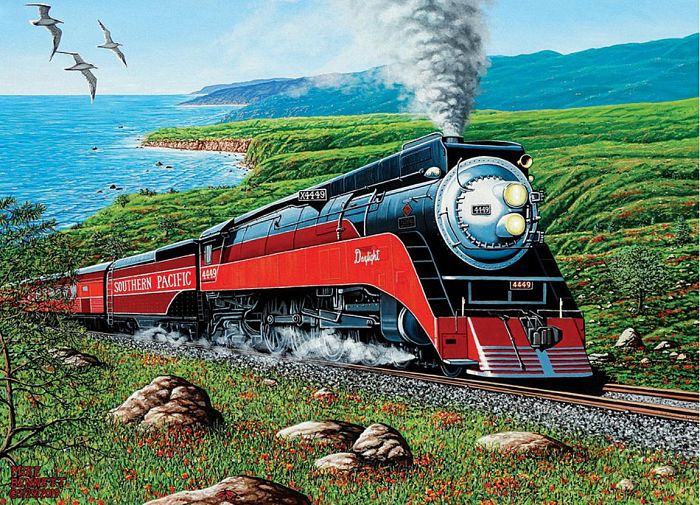 Cobble Hill 1000 pieces puzzle: By train along the Pacific coast 80291