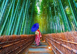 Enjoy 1000 Pieces Puzzle: An Asian woman in a bamboo forest