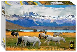 Step puzzle 1000 pieces: Horses in a national park. Chili (markdown)