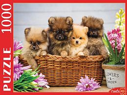 Puzzle Red Cat 1000 pieces: Cute Pomeranian Puppies