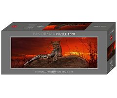 Puzzle Heye panorama 2000 details: Leopard at sunrise