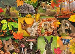 Puzzle Jumbo 1000 pieces: Forest animals in autumn