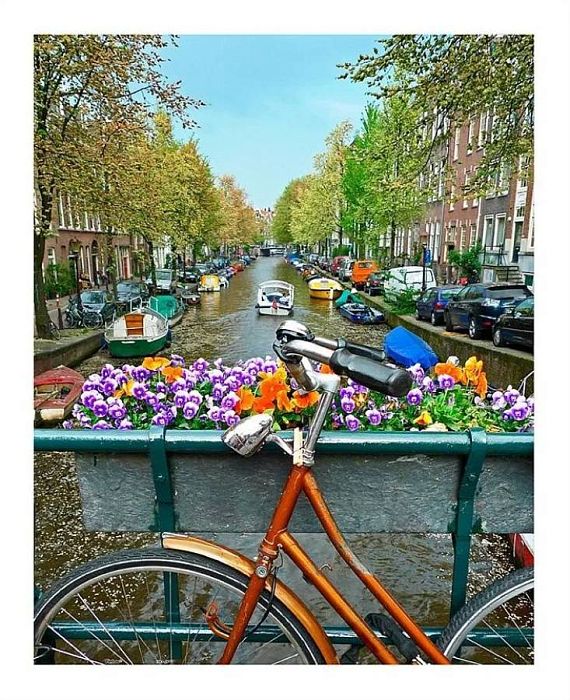 Puzzle Pintoo 500 details: Amsterdam Н1438