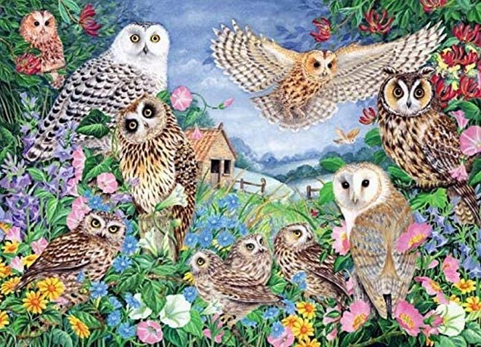Falcon 1000 puzzle details: Owls in the forest J11286