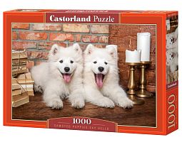 Castorland 1000 Pieces Puzzle: Samoyed Puppies