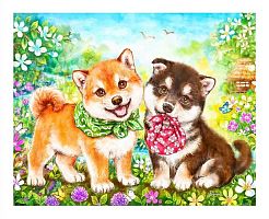 Pintoo 500 pieces puzzle: Shiba inu puppies