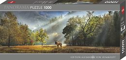 Puzzle Heye 1000 details: Forest morning