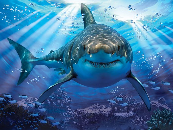Prime 3D puzzle 500 items: Great white shark 10048