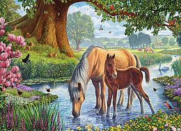 Puzzle Eurographics 1000 pieces: Pony