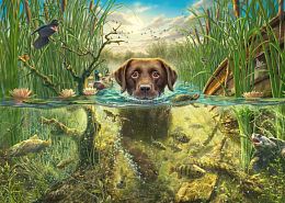 Schmidt 1000-piece puzzle: M.Fredrickson. Chocolate labrador swims