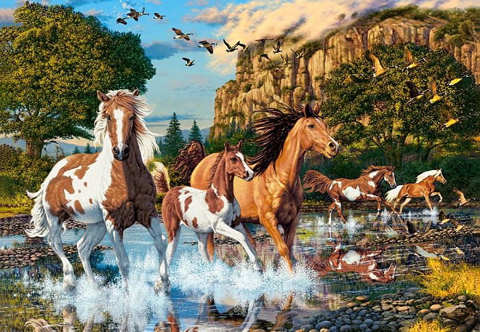 Castorland 1000 Pieces Puzzle: Running on Water C-104789