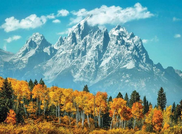 Puzzle Clementoni 500 details: the Grand Teton in the fall. USA 35034