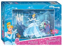 Puzzle Step 104 details: Cinderella - 2
