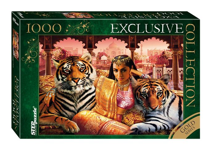 Step puzzle 1000 pieces: Princess of India 79517