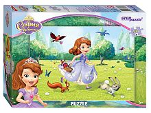 Puzzle Step 104 details: Princess Sofia