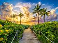 Раздел анонс: Пазл Castorland 3000 деталей: Восход солнца в Майами (C-300617)