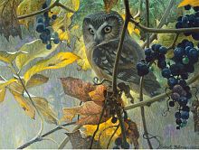 Puzzle Cobble Hill 500 items: Owl and wild grapes
