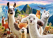 Puzzle Castorland 200 details: Selfie llamas