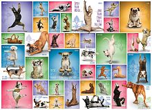 Puzzle Eurographics 1000 pieces: Dog yoga