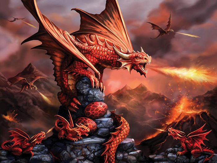 PRIME 3D puzzle 500 items: Fire dragon 10090